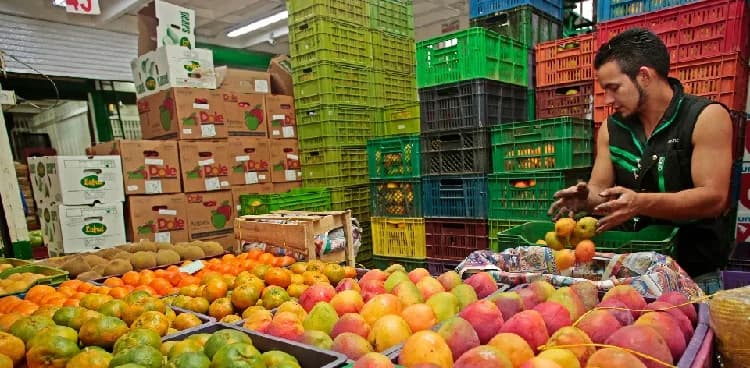 Ventas externas de Colombia de frutas frescas suman US$1.248 millones, entre enero y julio de 2025, con un aumento de 13,4% frente al mismo periodo de 2024