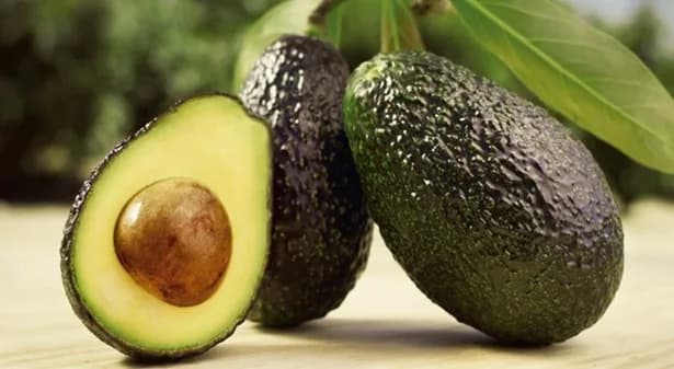 Corpohass avanza en mesa técnica con Finagro y el Banco Agrario para activar alivios crediticios y compra de cartera en el sector del aguacate Hass