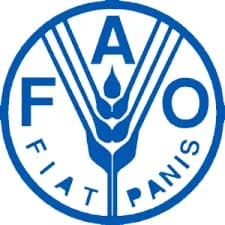 En sólo octubre, el índice de precios mundiales de los alimentos bajó 0,5%; descienden cotizaciones del arroz, trigo, aceite de palma y carne de cerdo
