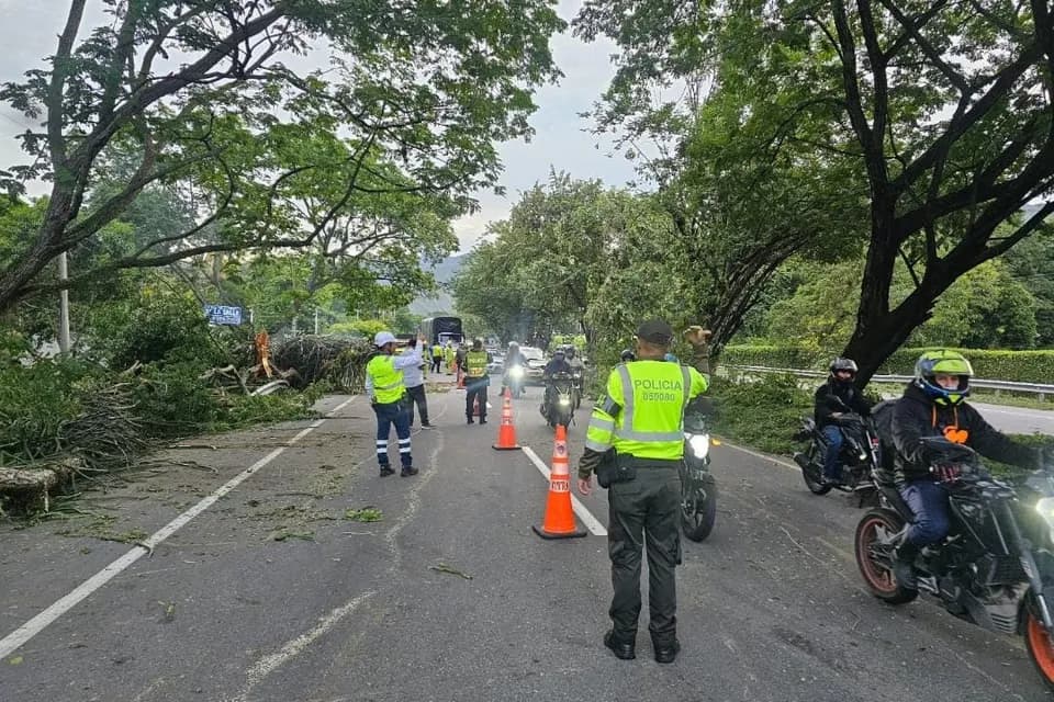Se encuentra bloqueada la Vía Bogotá - Girardot, en el sector de Tolemaida, por la caída de un árbol