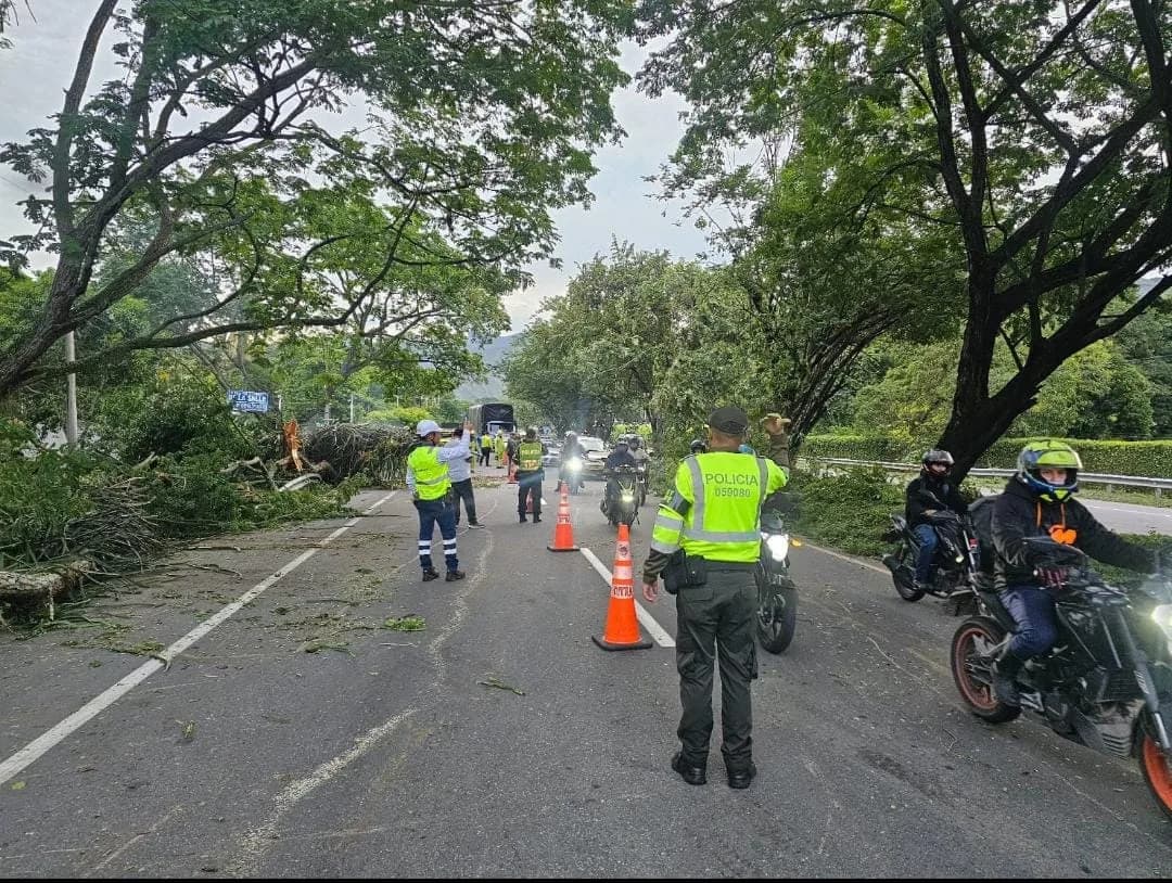 Se encuentra bloqueada la Vía Bogotá - Girardot, en el sector de Tolemaida, por la caída de un árbol