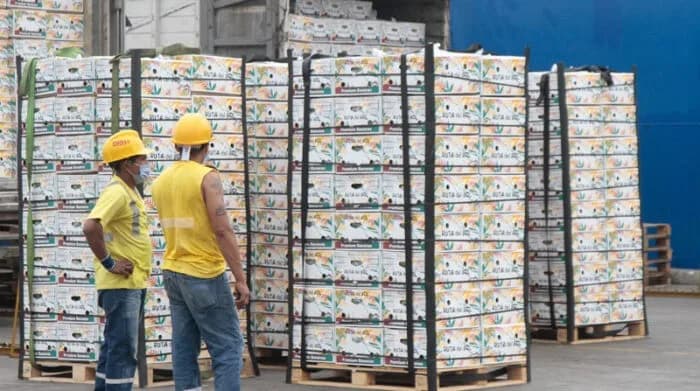 Exportaciones refrigeradas que incluyen banano, registraron un crecimiento del 9,0% en el acumulado a septiembre frente al mismo período del año anterior