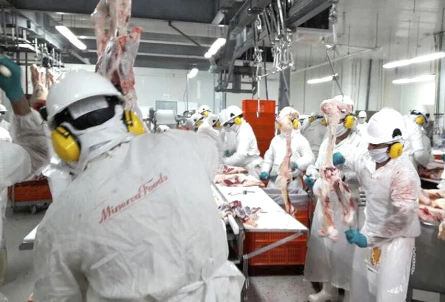 Grupo Minerva Foods dice estar listo con sus exportaciones para cuando Estados Unidos autorice ingreso de carne colombiana