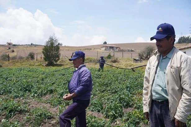 Con $10.000 millones, el Fondo para el Financiamiento del Sector Agropecuario busca reducir hasta en un 40% los créditos rurales