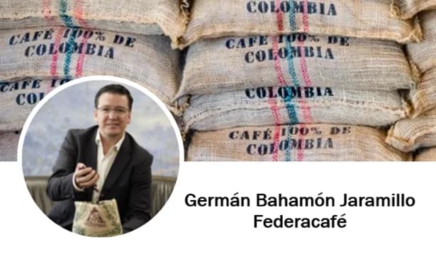 Entre enero y marzo, la producción de café colombiano alcanzó 2,51 millones de sacos: cayó 33,5%