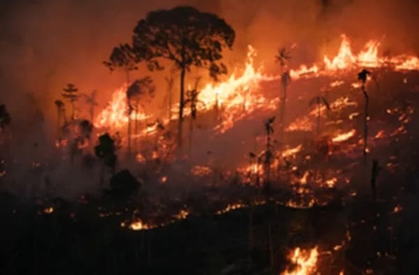 Tolima concentra 11 de los 17 incendios forestales activos reportados en Colombia