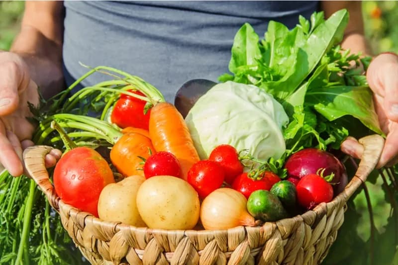 En mayo bajaron los precios de frutas, tubérculos y carne de cerdo, pero subieron hortalizas, huevos y procesados