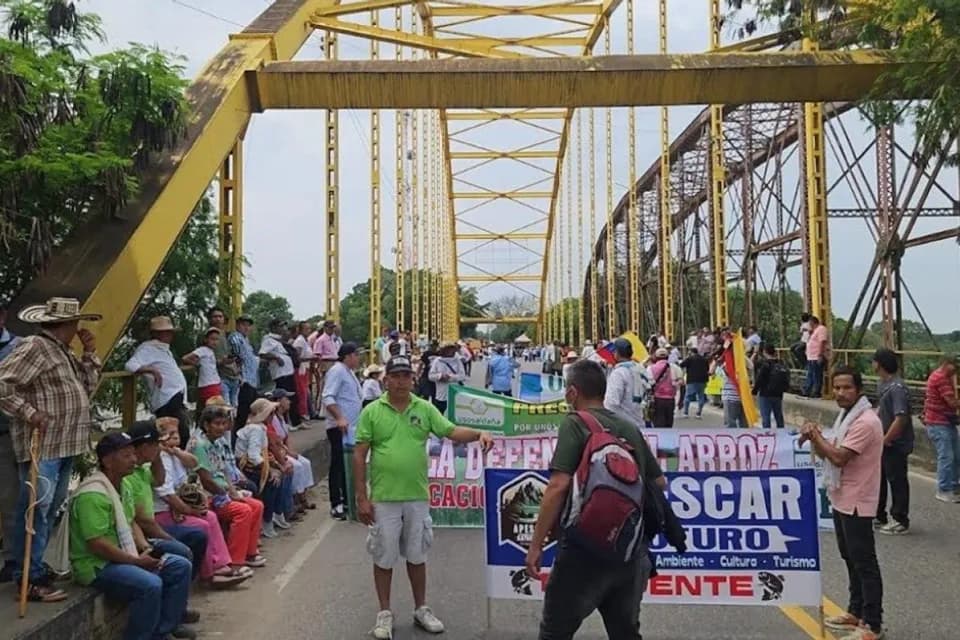 Dignidad Agropecuaria Colombiana se levantó de la mesa de negociación entre arroceros y Gobierno Nacional