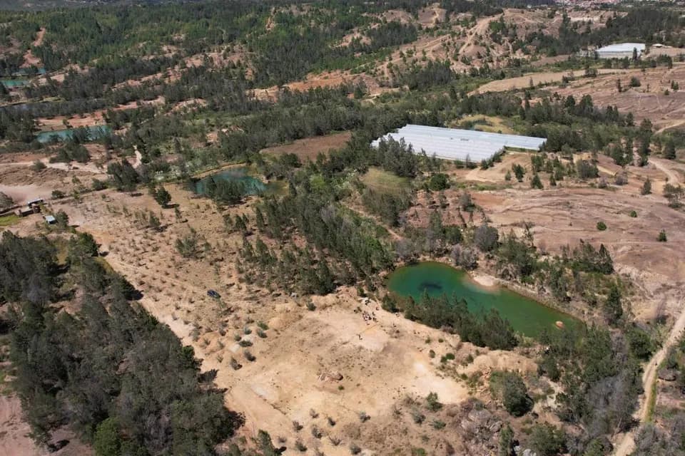 Asocapitales pone en marcha herramientas de monitoreo tras confirmación del Fenómeno de El Niño en el Pacífico Tropical