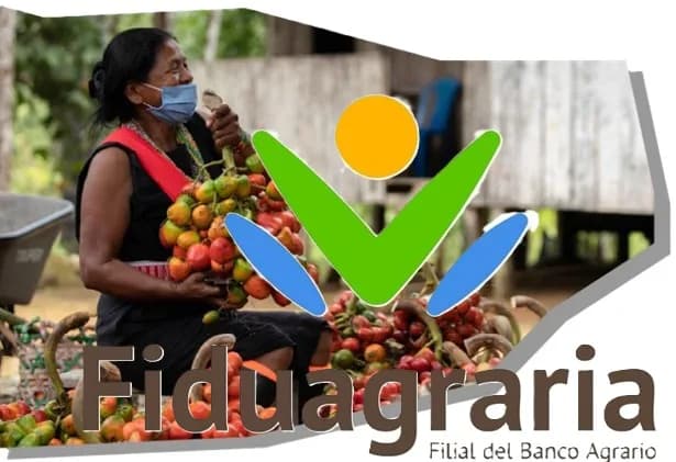 Entre los avances del último año de Fiduciaria de Desarrollo Agropecuario, Fiduagraria, sobresale el cumplimiento de los ejes de sostenibilidad financiera, según Value and Risk