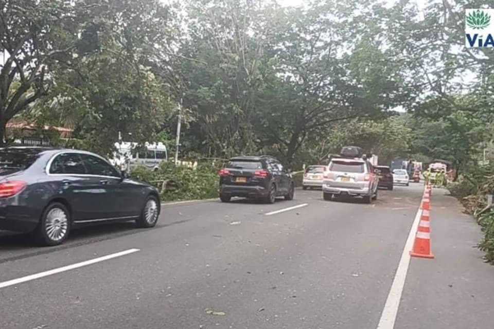 Habilitan calzada Bogotá-Girardot en el sector Salero en Melgar, tras emergencia por la caída de un árbol