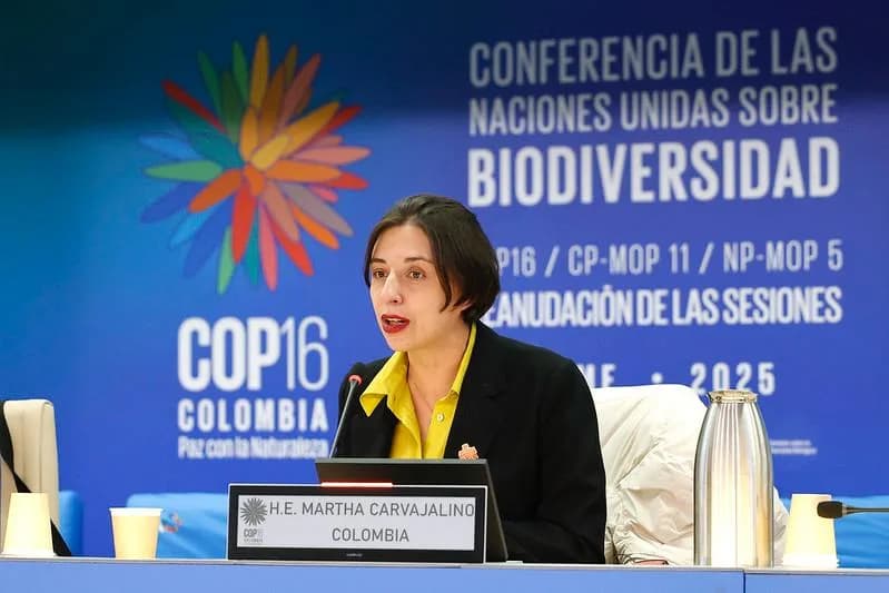 Colombia alista terreno en Roma para hacer el súper evento mundial del agro en 2026: la II Conferencia Internacional de Reforma Agraria y Desarrollo Rural