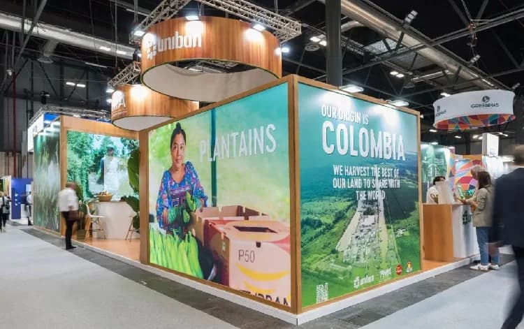 Sector bananero colombiano espera cerrar el 2024 con un aumento en las exportaciones del 5% frente al año anterior