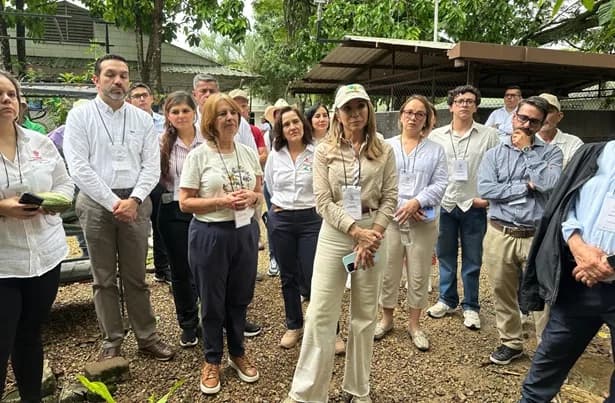 Entidades del sector público y privado visitaron Arauca para conocer los resultados del programa “Transformación de encadenamientos productivos para territorios sostenibles”