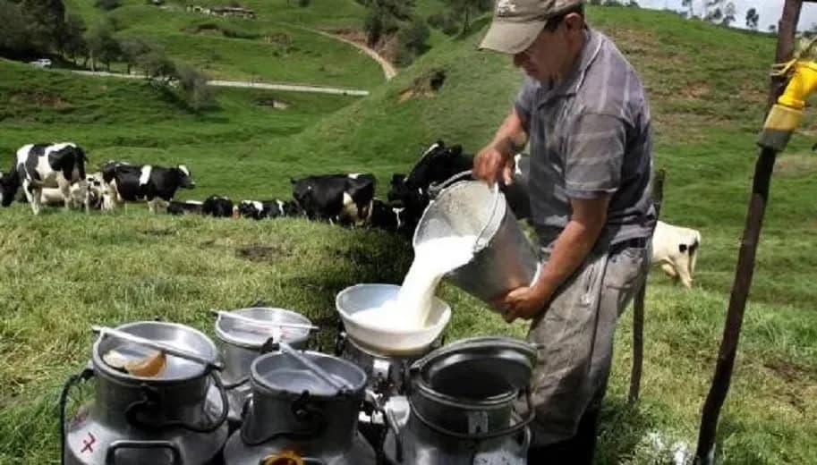 Debido al Paro Nacional de Camioneros, zonas de acopio de leche están aisladas; la recolección cayó entre un 60% y un 100%