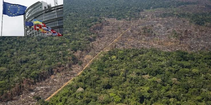 Comisión Europea aplaza por un año la ley que prohibía la importación de productos agrícolas provenientes de zonas deforestadas