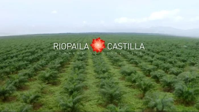 Asamblea de Riopaila Castilla revisará desarrollo del proyecto Operación Vichada y búsqueda de inversionistas