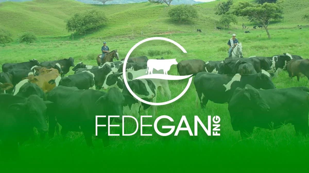 Fedegán alerta pérdidas por cerca de $13.000 millones en el sector ganadero a causa de afectaciones climáticas