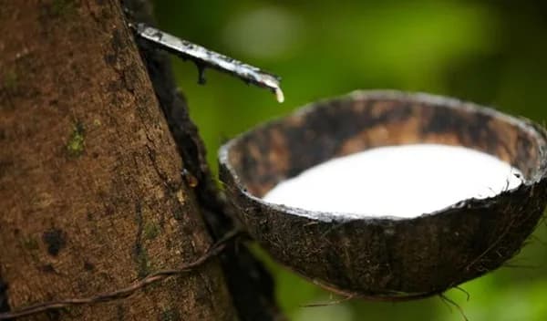 Desde el 2019, la industrial del caucho en Colombia mantiene un crecimiento del 30% anual en promedio
