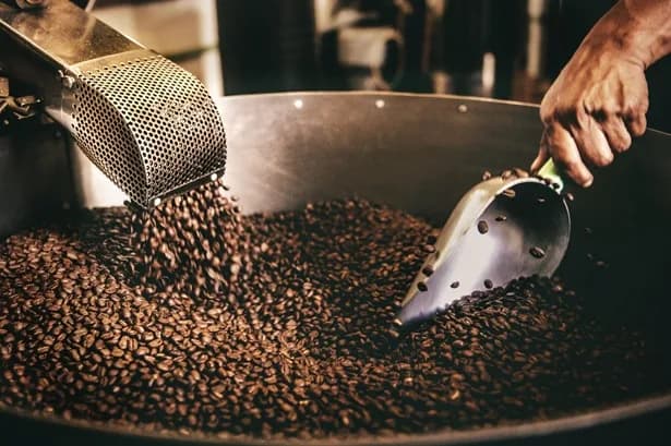 Precio del café suave colombiano en Nueva York se mantuvo en US$2,88 y la carga en Colombia descendió desde $2.155.000 hasta $2.130.000 (-1,16%)