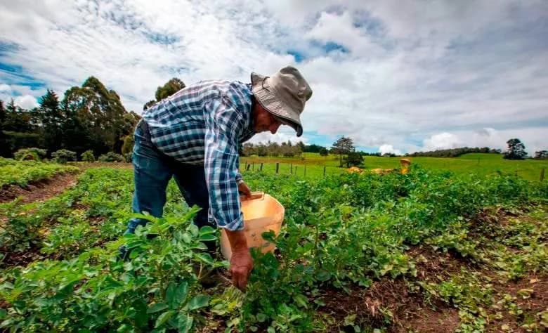 En el debate de Control Político a la Agencia Nacional de Tierras el Gobierno informó que entre 2022-2026 se gastaron en contratos de prestación de servicios $1.6 billones