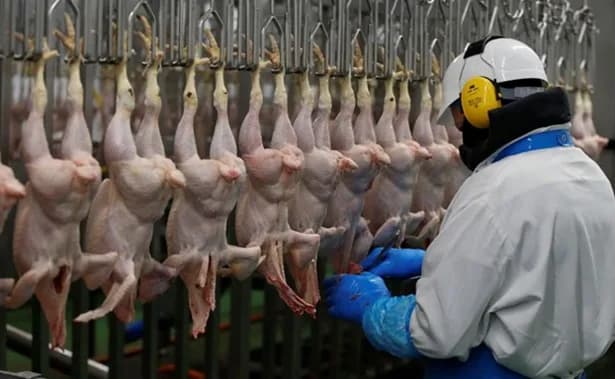 El Ministerio de Cambio Climático y Medio Ambiente de Emiratos Árabes Unidos autorizó la importación de carne aviar colombiana