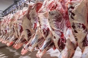 Producción mundial de carne de res caerá en el segundo semestre del 2024, de acuerdo con informe del banco Rabobank