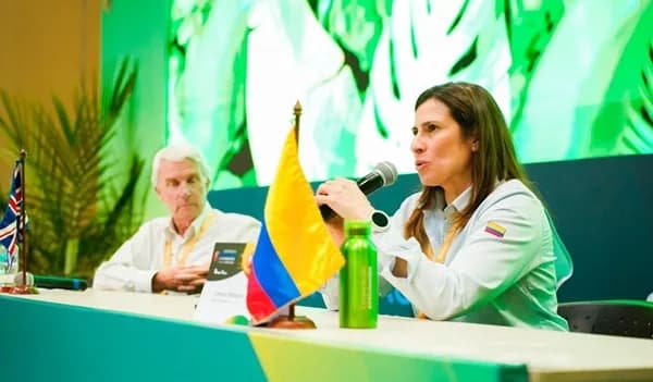 Colombia alcanza 99% de palma libre de deforestación y busca certificación total para generar sostenibilidad y competitividad en mercados internacionales, advierte Ximena Mahecha de APS
