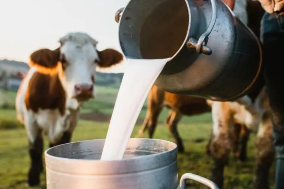 Litro de leche cae por debajo de $2.000, después de casi dos años en los que no se veía este precio