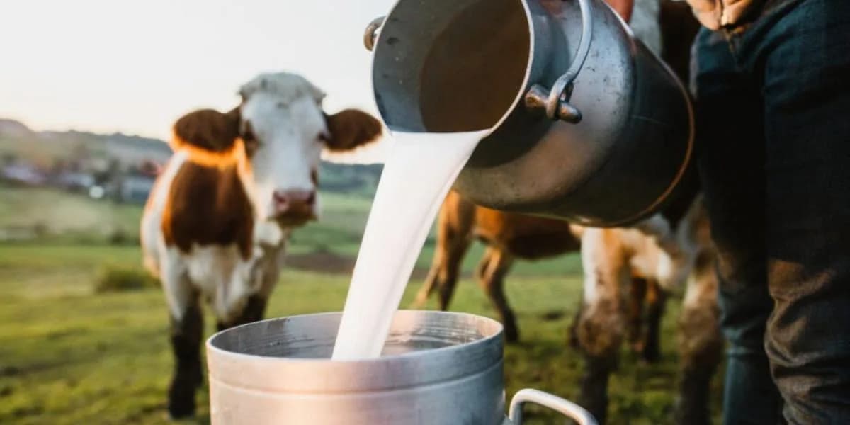 Litro de leche cae por debajo de $2.000, después de casi dos años en los que no se veía este precio