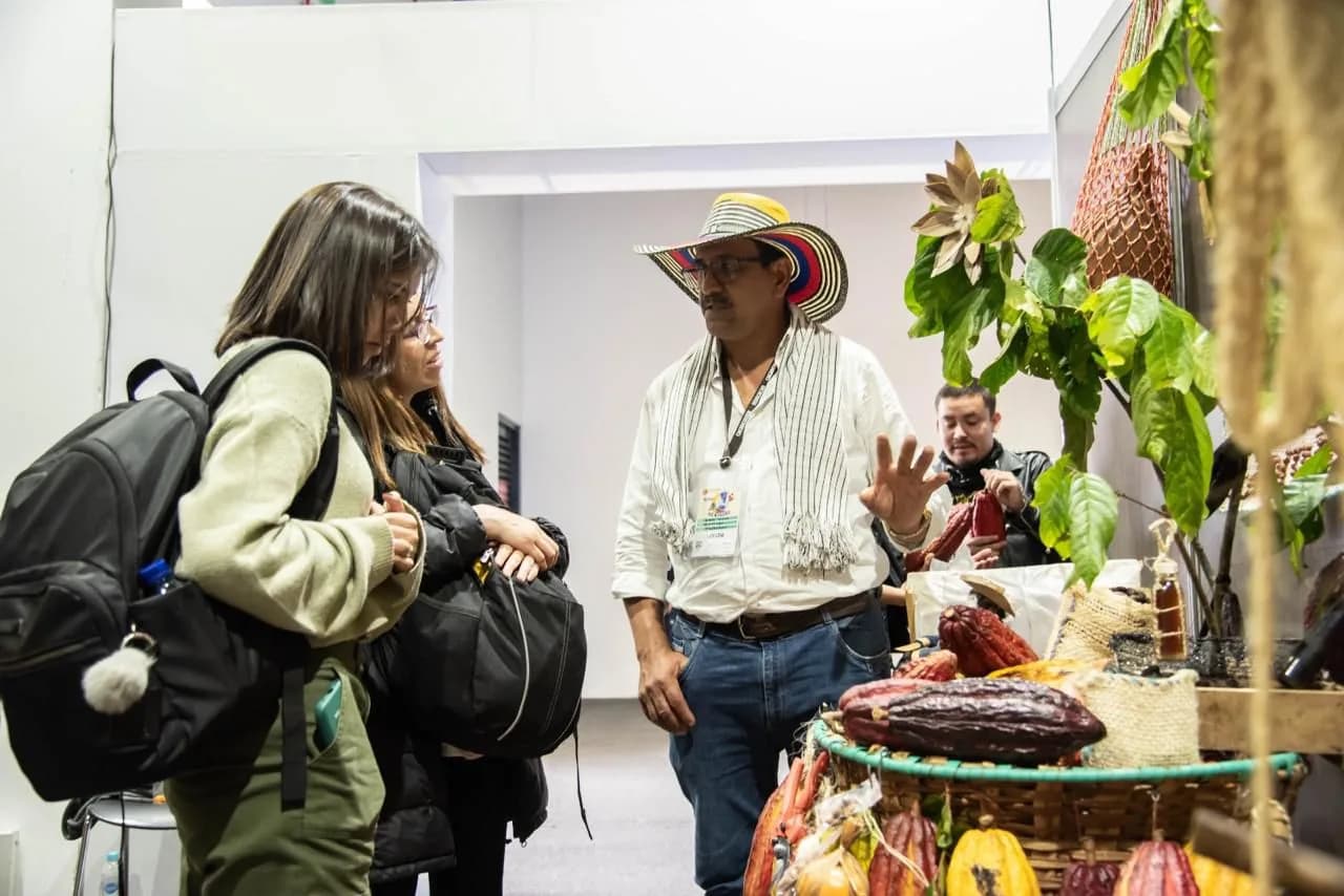 Los precios del cacao alcanzan un nuevo récord, lo que genera nuevas advertencias sobre una volatilidad extrema