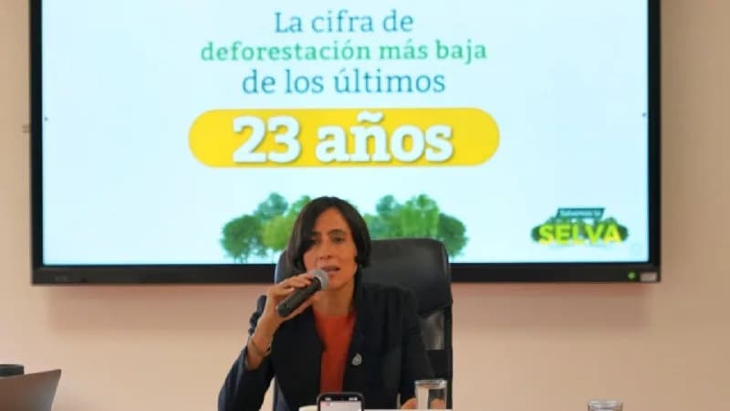 La deforestación en Colombia se redujo en 36% en 2023, la cifra más baja en más de dos décadas, de acuerdo al reporte del Ministerio de Ambiente