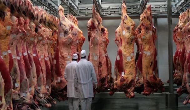 En medio de la imposición de aranceles, las exportaciones de carne bovina desde Brasil hacia Estados Unidos cayó 61,8 % tras el récord en abril