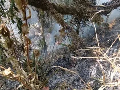 Gobierno de Chile renueva toque de queda para cuatro comunas de la región de Valparaíso, tras emergencia por incendios forestales