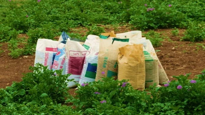 Índice de precios agropecuarios de la Bolsa Mercantil aumentó 0.9% en noviembre