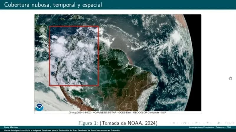 Con Inteligencia Artificial y sensores remotos (satélite) la Federación Nacional de Arroceros realizará monitoreo a los cultivos en todo el país
