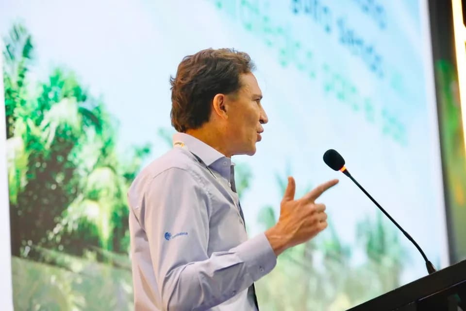 Fedepalma proyecta superar los dos millones de toneladas de aceite de palma en 2026 y expandir su mercado de exportaciones a África y Asia