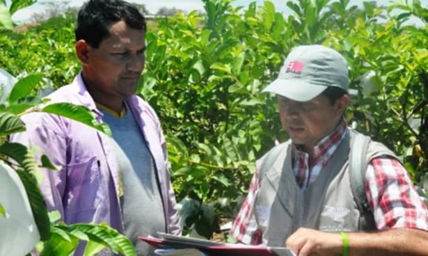 Colombia se alista para el ‘Cuarto Censo Nacional Agropecuario’; MinAgricultura, la Upra y el Dane avanzan en su planeación técnica