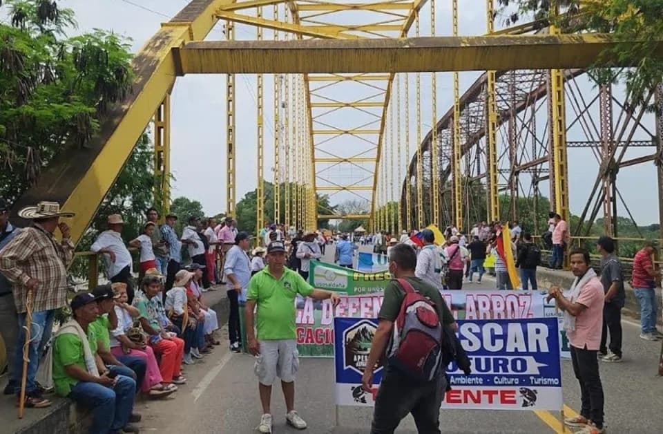 Dignidad Agropecuaria Colombiana se levantó de la mesa de negociación entre arroceros y Gobierno Nacional