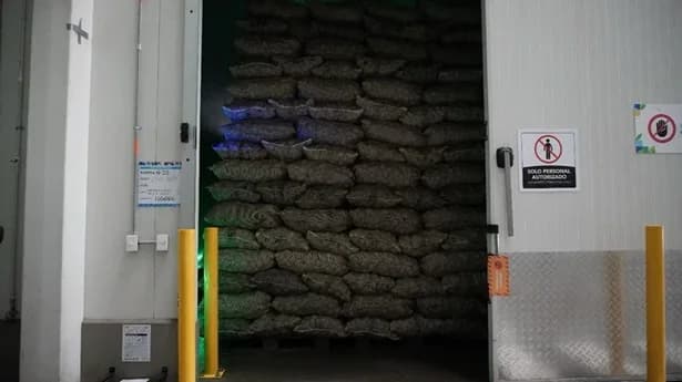 PepsiCo inauguró un centro con capacidad de almacenar 20 mil toneladas de papas en Tenjo, Cundinamarca
