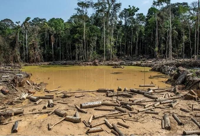 Noruega destinó US$22 millones para apoyar la lucha de Colombia contra la deforestación