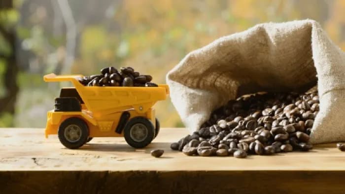 Exportaciones del agro colombiano, al alza: en junio de 2025 aumentaron 35% con respecto al mismo mes del año anterior