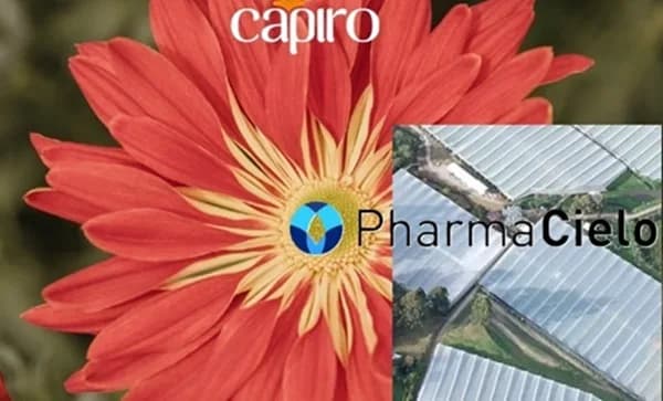 PharmaCielo vendió por $26 mil millones vivero de cannabis en Carmen de Viboral y pagó $6.129 millones al Banco Agrario