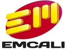 Por irregularidades en el proceso de adquisición de energía, la Procuraduría abrió investigación al gerente de Emcali Fulvio Leonardo Soto Rubiano