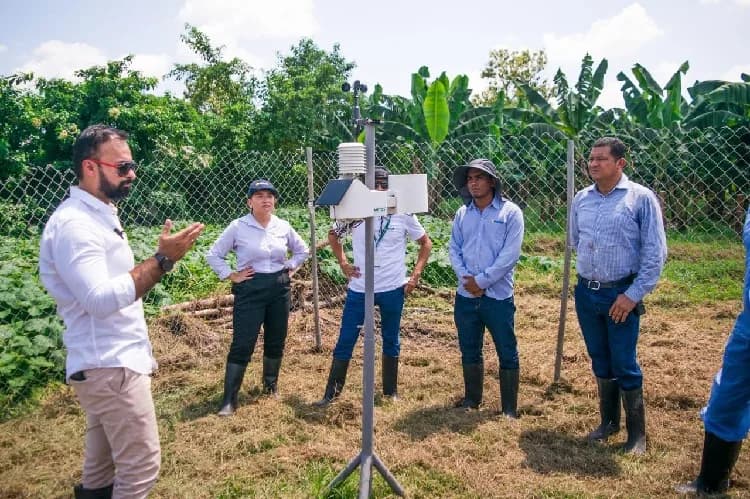 Productores de banano del Magdalena adquirirán una red de estaciones meteorológicas para el monitoreo de las condiciones climatológicas en la región