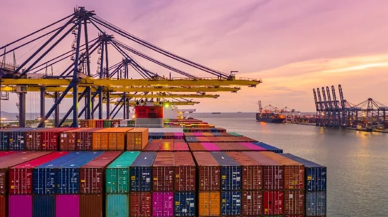 Monto de las importaciones del sector agropecuario durante junio del 2024 creció hasta los US$711 millones CIF (costo, seguro y flete)