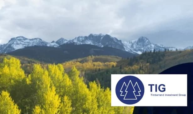 BTG Pactual Timberland consiguió US$500 millones para su estrategia de reforestación en América Latina