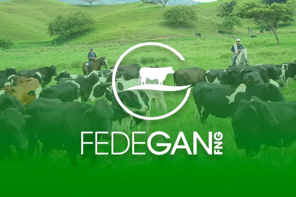 Fedegán alerta pérdidas por cerca de $13.000 millones en el sector ganadero a causa de afectaciones climáticas