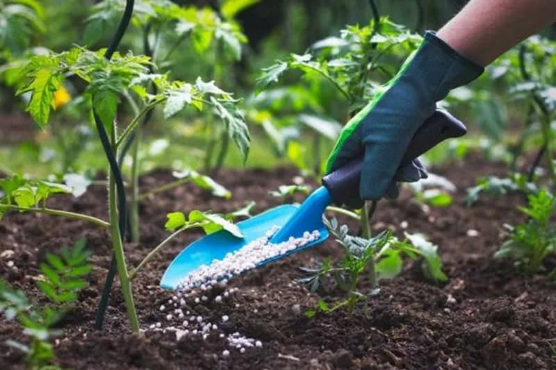 Para julio se registra un aumento de 2,59 % en los fertilizantes compuestos y de 1,18 % en los simples, después de dos años de reducciones continuas