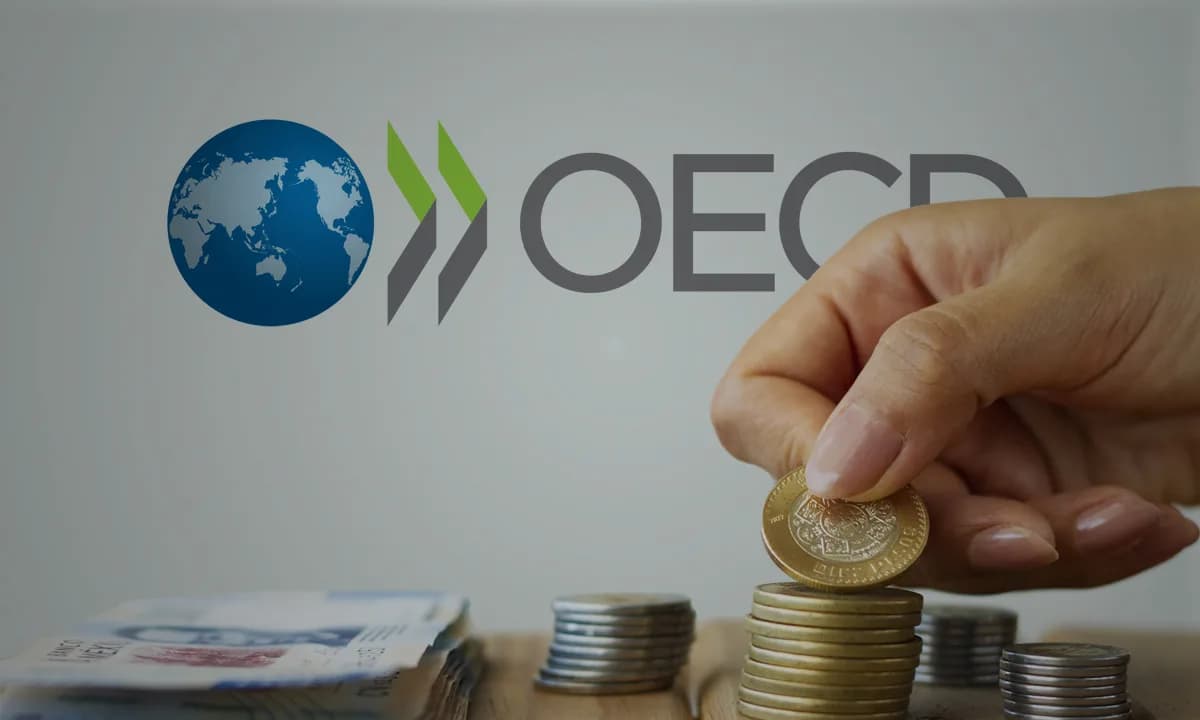 Colombia fue el país de la Ocde donde más bajó la presión fiscal en 2024